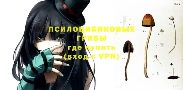 метадон Каменск-Шахтинский