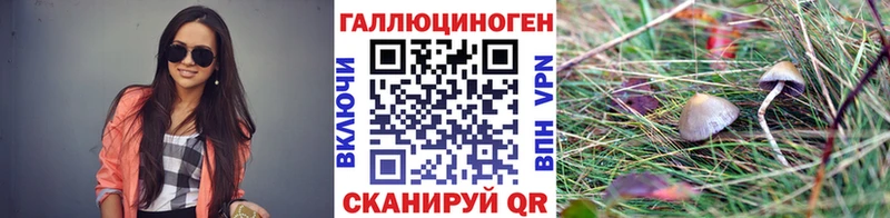 Купить  Калач-на-Дону  Псилоцибиновые грибы Psilocybine cubensis 